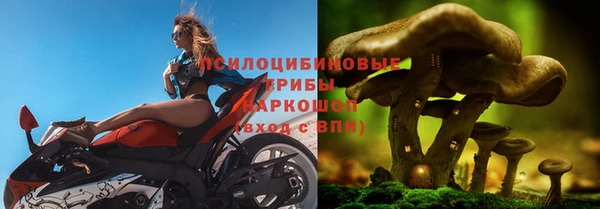 винт Горно-Алтайск