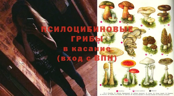 гидропоника Горняк