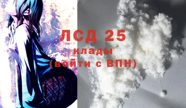ГАЛЛЮЦИНОГЕННЫЕ ГРИБЫ Вязьма