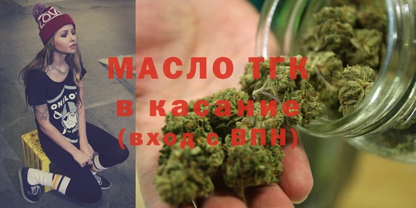 гидропоника Горняк