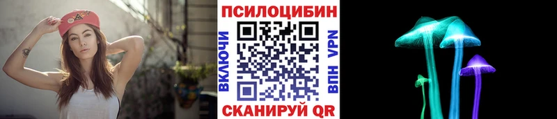 Галлюциногенные грибы Psilocybine cubensis  Купить закладки  Красноперекопск 